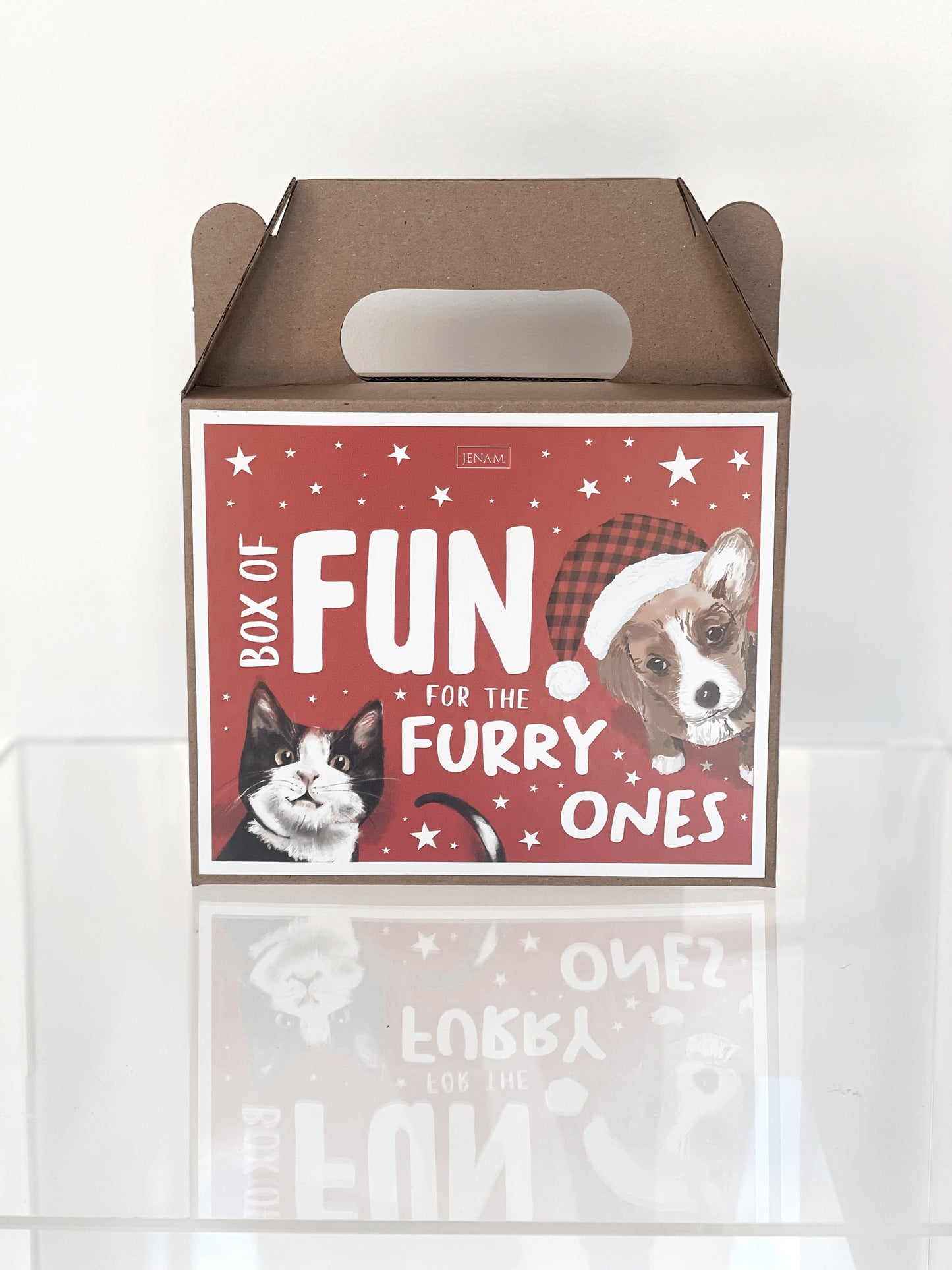 Fun Pet Box